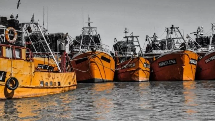 Veda temporal para el langostino en aguas provinciales de Chubut