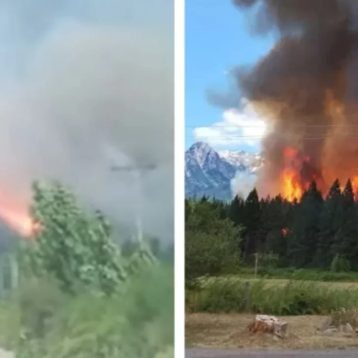 Incendio forestal en Epuyén obligó a evacuar por “avance crítico”