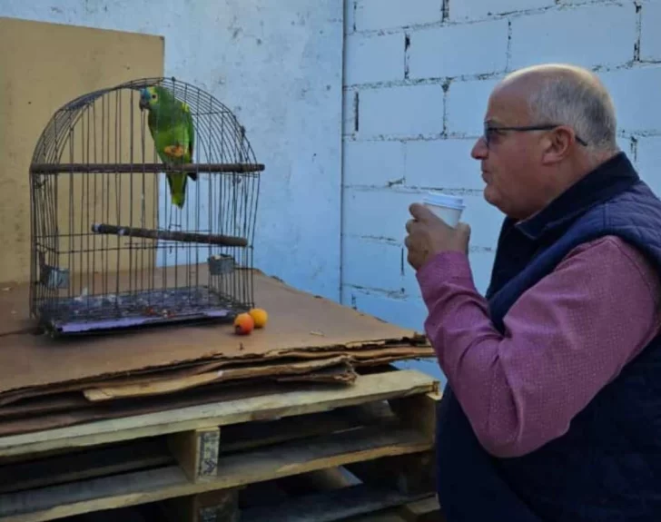 Final feliz: “Pepe”, el loro se reencontró con su familia