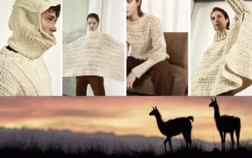 La lana de guanacos: ¿es el nuevo “oro” que tiene la Patagonia?