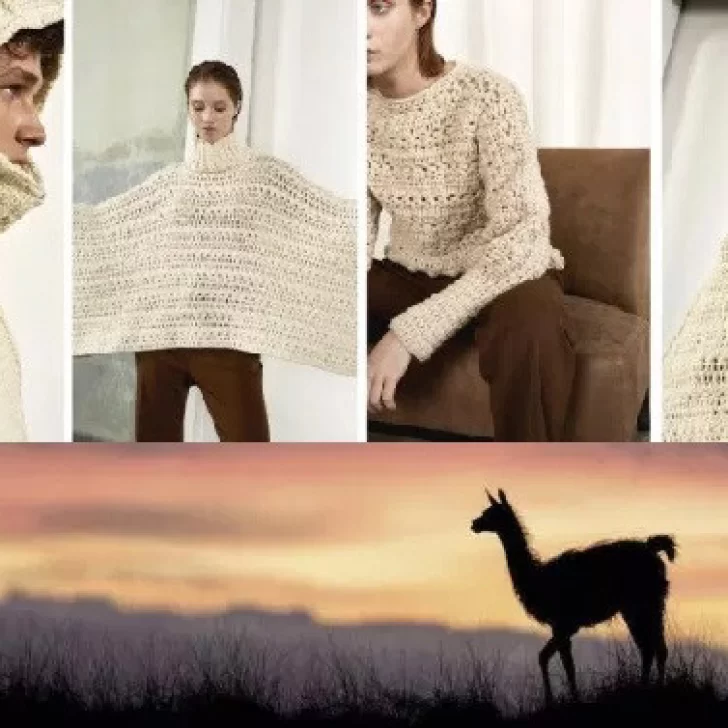 La lana de guanacos: ¿es el nuevo “oro” que tiene la Patagonia?