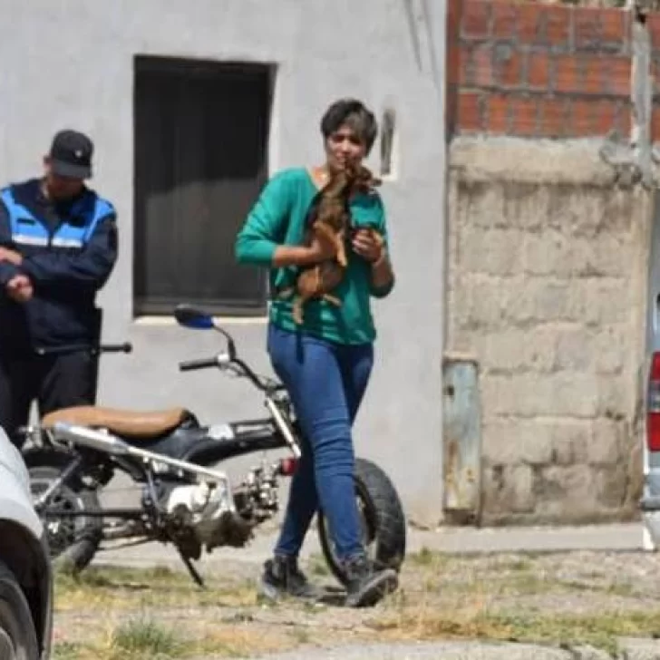 “Te portaste mal”: rescataron al perrito que fue ahogado por su dueño