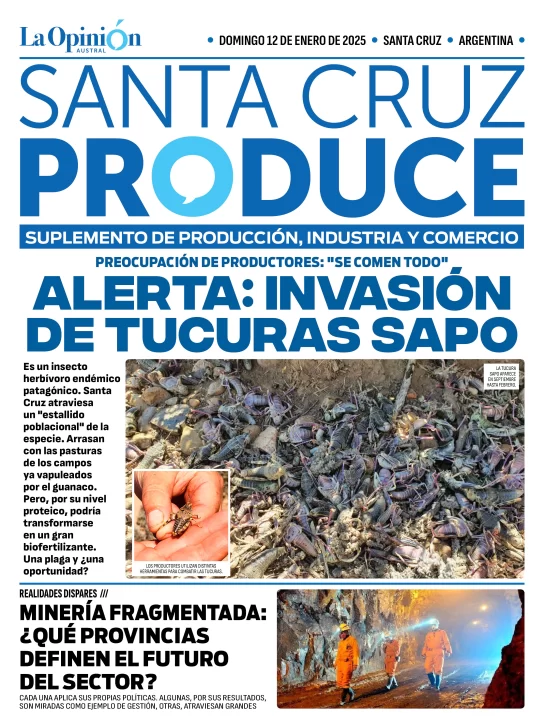 Tapa Suplemento especial de Santa Cruz Produce “Alerta: invasión de tucura sapo “