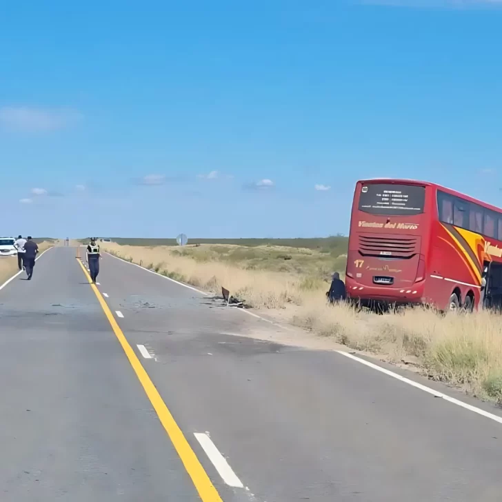 Tragedia en La Pampa con trabajadores golondrina de Tucumán: cinco muertos en un choque frontal entre colectivo y camioneta