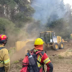 Torres confirmó que el incendio en la zona de Los Cipreses “está circunscripto”