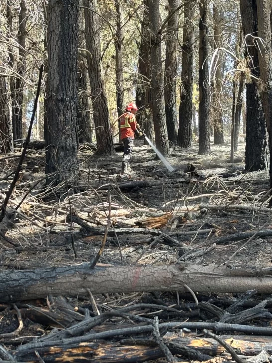 Lograron contener el incendio forestal en la zona de Los Cipreses