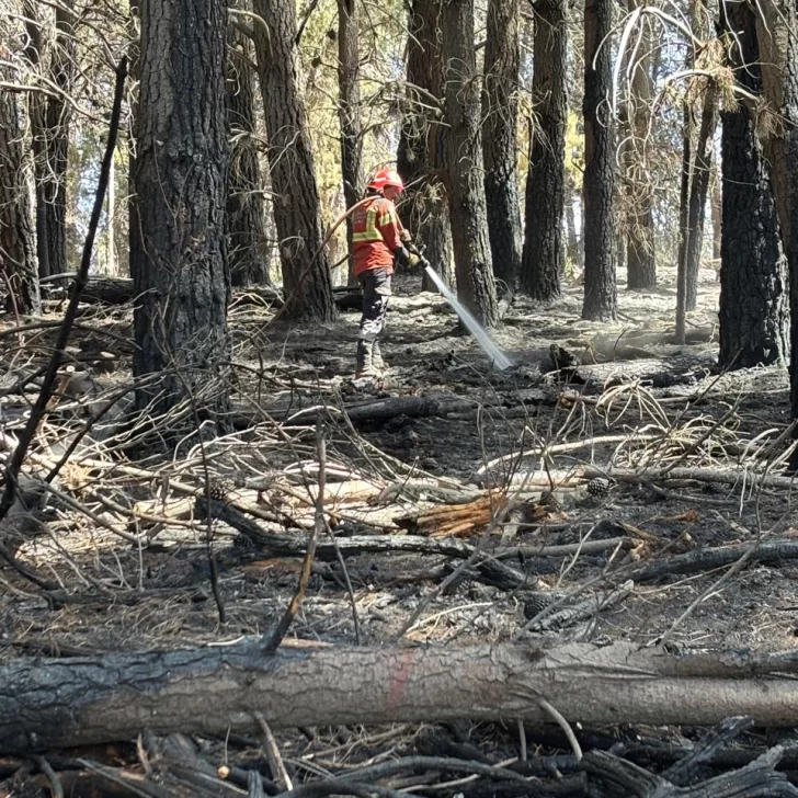 Lograron contener el incendio forestal en la zona de Los Cipreses