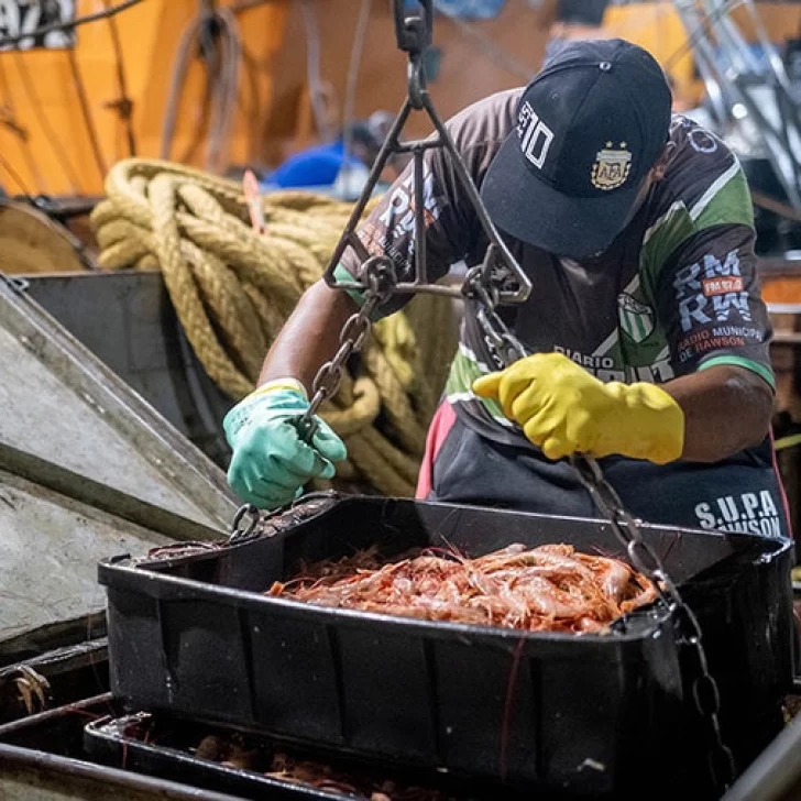 La pesca marítima aumentó 111,3% comparada con 2024