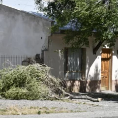 Fuerte temporal de viento en Santa Cruz: “Las ráfagas llegaron a los 160 km/h”