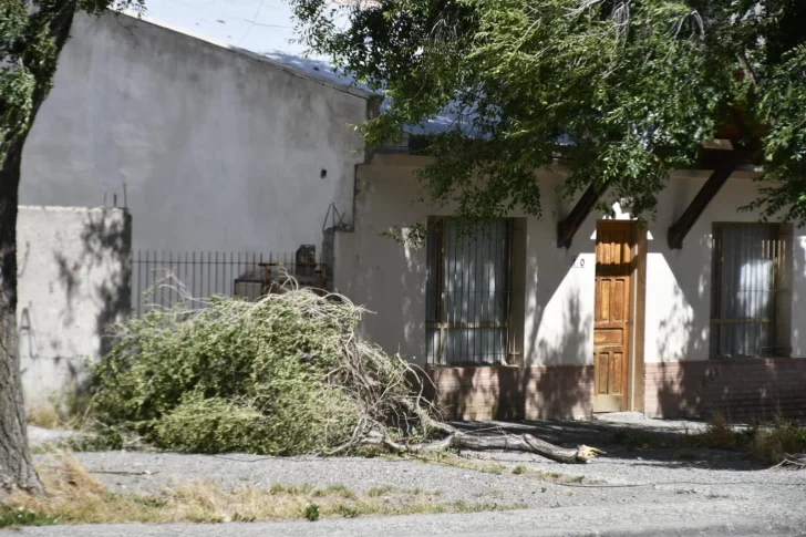 Fuerte temporal de viento en Santa Cruz: “Las ráfagas llegaron a los 160 km/h”