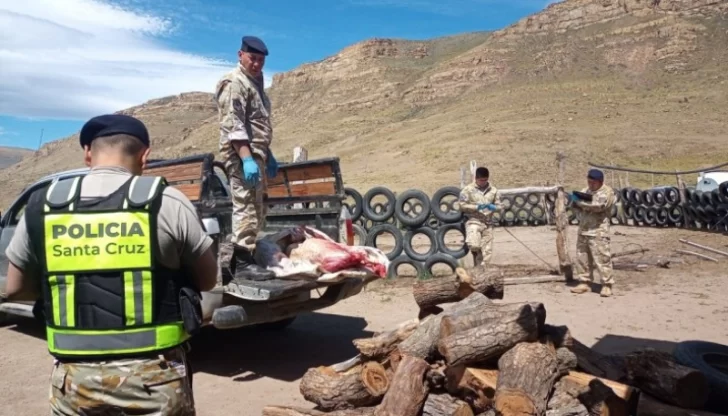 Productores rurales piden mano dura por robo de ganado: “Si te va bien vendiste dos terneros, si te va mal te comiste sólo dos días”