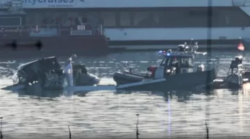 Tragedia aérea en Washington: quién era el argentino que murió junto a su hijo