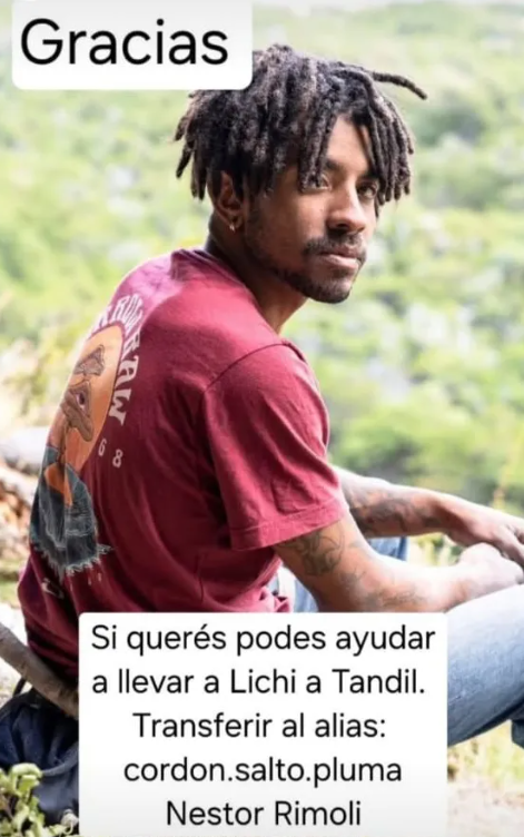 colecta-escalador-456x728