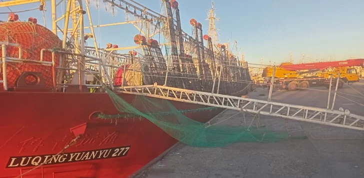 Con la descarga de los primeros poteros comenzó la zafra del calamar