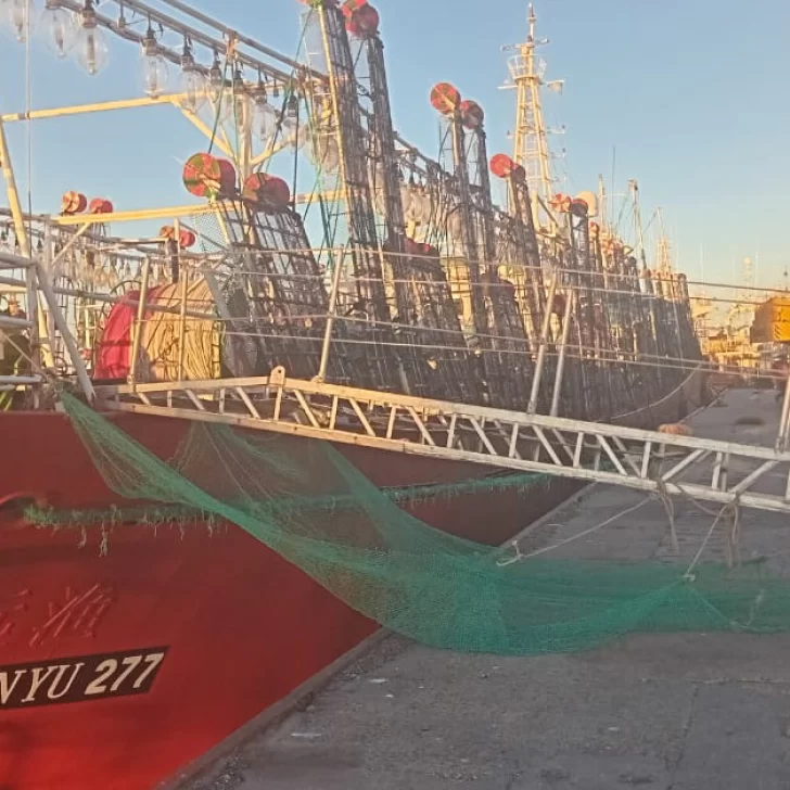 Con la descarga de los primeros poteros comenzó la zafra del calamar