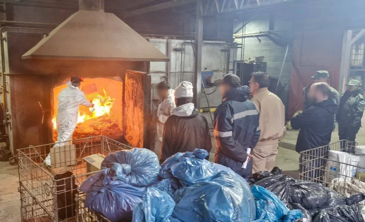 ¿Circuito narco en la Patagonia?: hojas de coca del norte del país hasta Tierra del Fuego