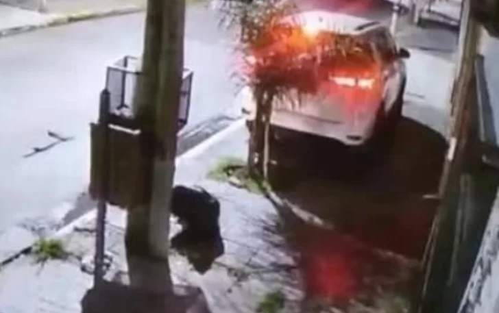Jubilado mató a un ladrón de 15 años que intentó robarle la camioneta