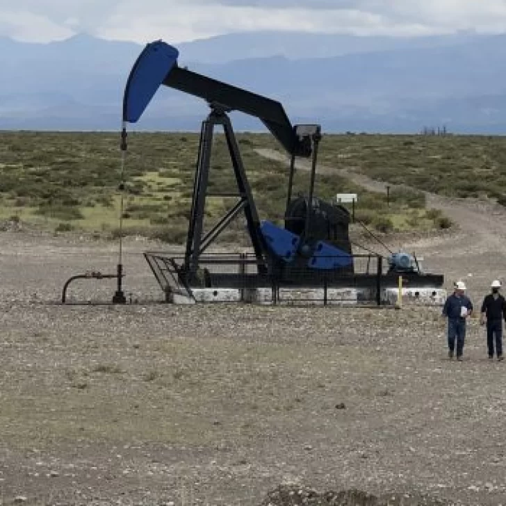 Mendoza autorizó cesión de áreas de YPF a Petróleos Sudamericanos