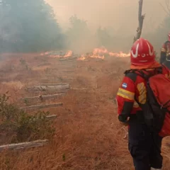 Continúan los operativos para sofocar los incendios en Epuyén y Atilio Viglione