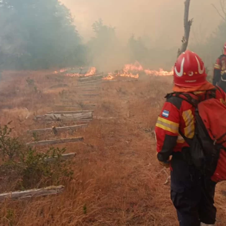 Continúan los operativos para sofocar los incendios en Epuyén y Atilio Viglione
