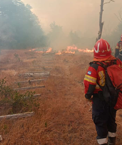 Continúan los operativos para sofocar los incendios en Epuyén y Atilio Viglione