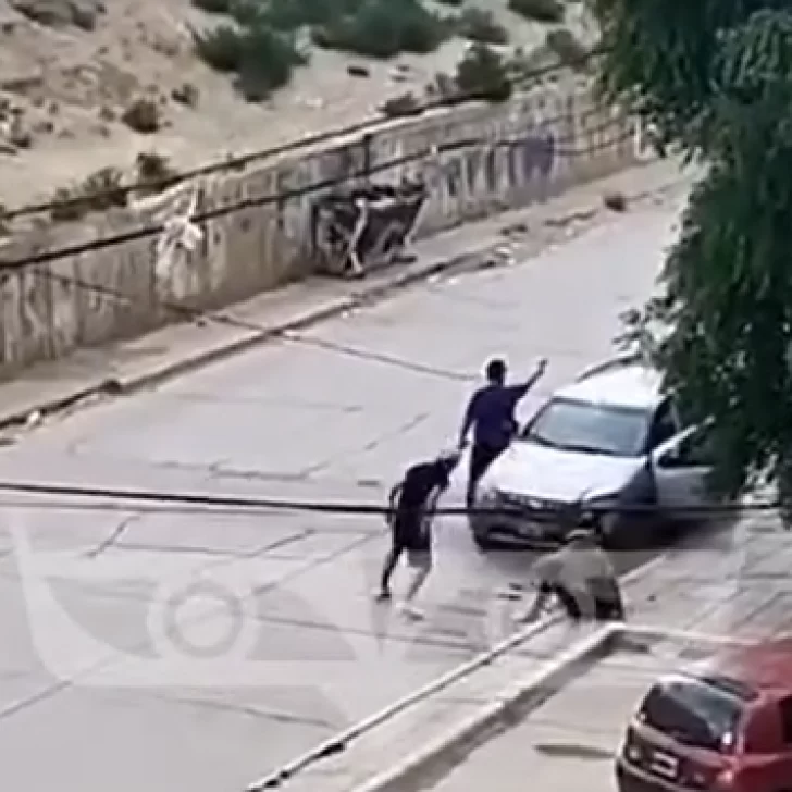 Video. Tiroteo en Caleta Olivia: Un joven está en grave estado tras recibir tres disparos Video. Tiroteo en Caleta Olivia: Un joven está en grave estado tras recibir tres disparos