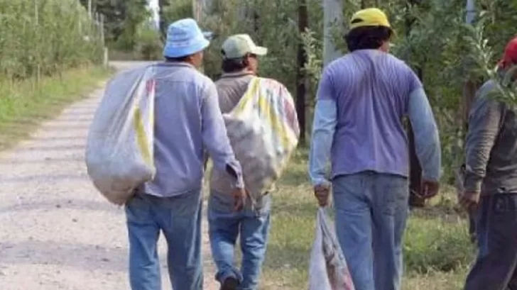 trabajadores-golondrina-manzana-cosecha-1-728x409