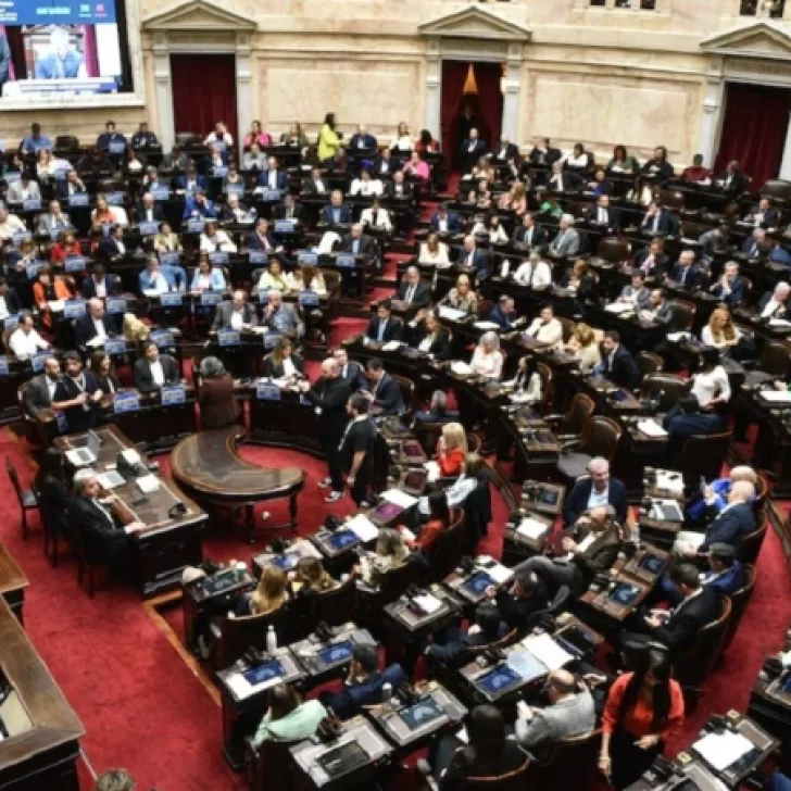 Aprobaron el proyecto para evitar la “puerta giratoria” de los delincuentes en la justicia Aprobaron el proyecto para evitar la “puerta giratoria” de los delincuentes en la justicia