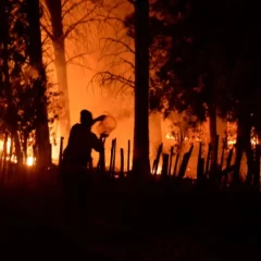 Liberaron a seis personas detenidas por los incendios en El Bolsón y el juez cuestionó a la fiscalía: “No hay elementos para nada”