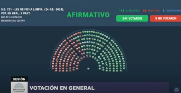 Media sanción para Ficha Limpia: ¿Cómo votaron los diputados santacruceños?