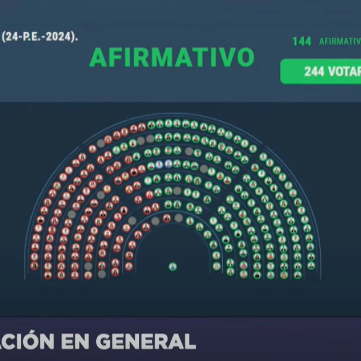Media sanción para Ficha Limpia: ¿Cómo votaron los diputados santacruceños?