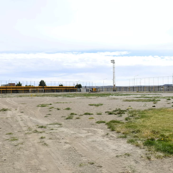 Ferro y un sueño hecho realidad: el césped sintético está en camino