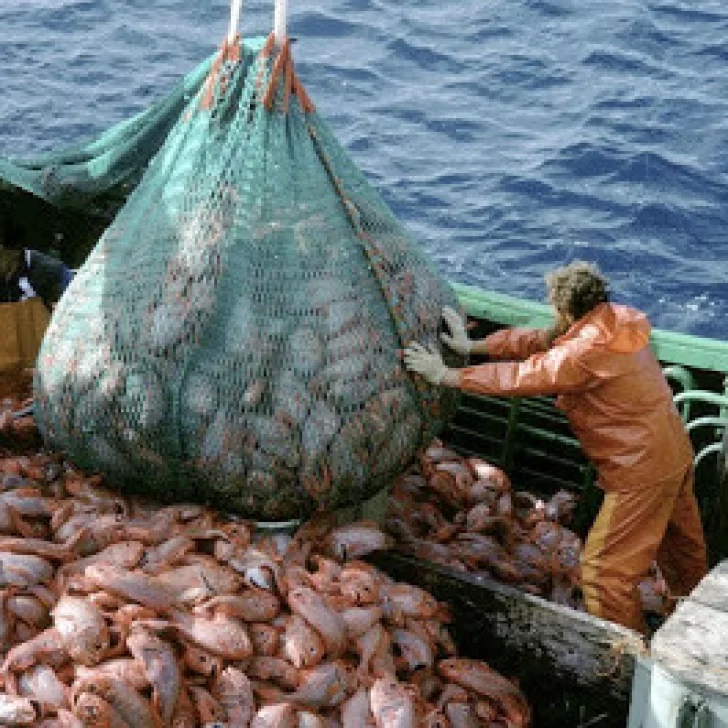 Pesca en crisis: menos demanda, precios bajos y atraso cambiario