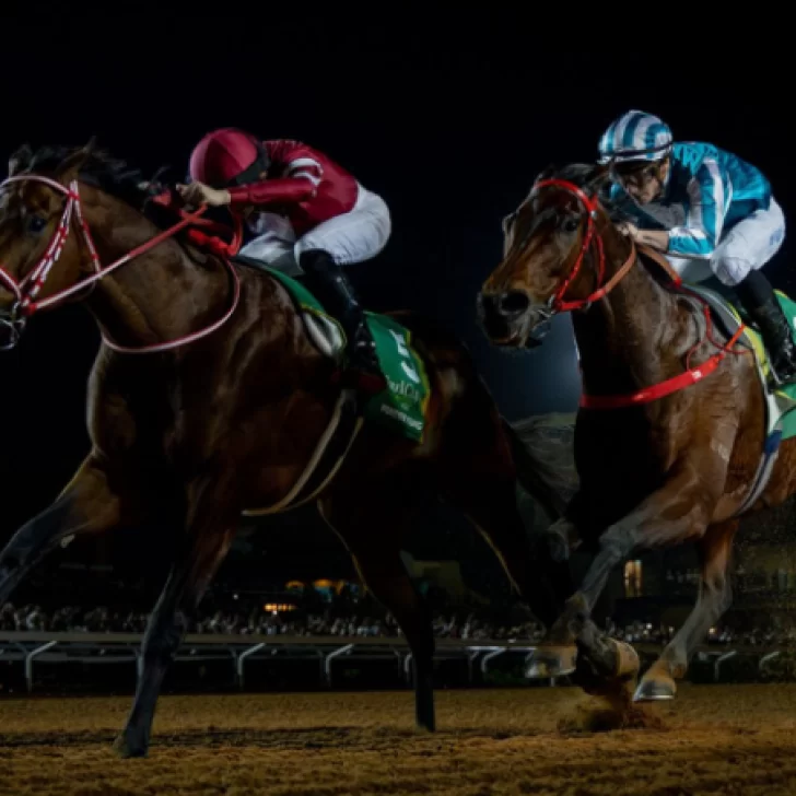 No pudo ser para los argentinos: el japones Forever Young ganó la Saudi Cup, la carrera de turf de 20 millones de dólares en 2 minutos No pudo ser para los argentinos: el japones Forever Young ganó la Saudi Cup, la carrera de turf de 20 millones de dólares en 2 minutos