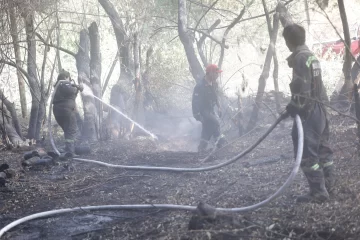 Declararon la emergencia ígnea en Río Negro Declararon la emergencia ígnea en Río Negro