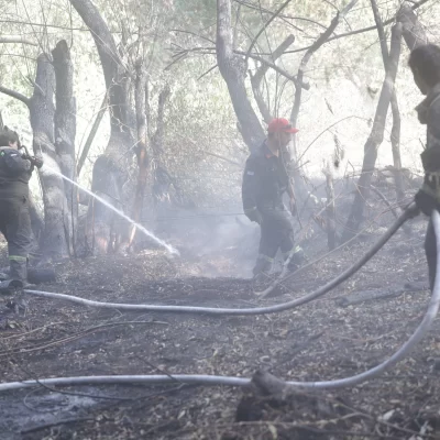 Declararon la emergencia ígnea en Río Negro