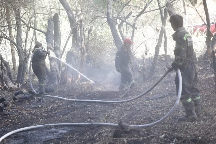 Declararon la emergencia ígnea en Río Negro