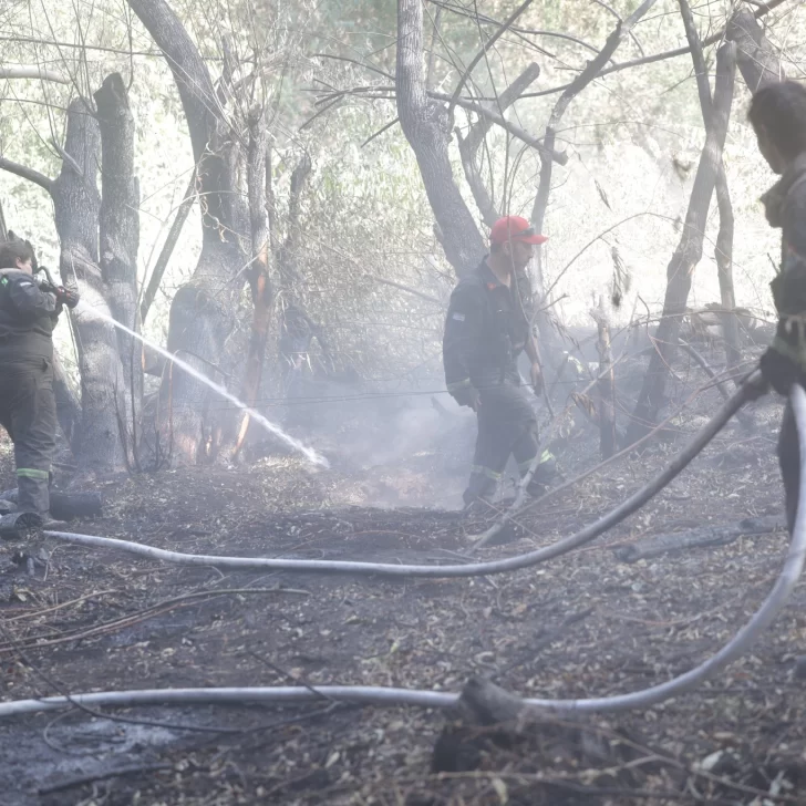 Declararon la emergencia ígnea en Río Negro