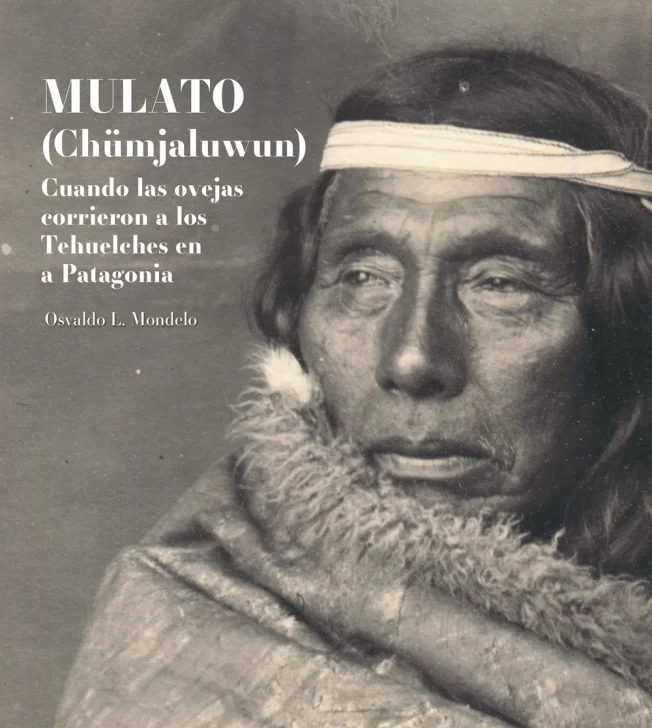 Tapa-Cacique-Mulato-652x728