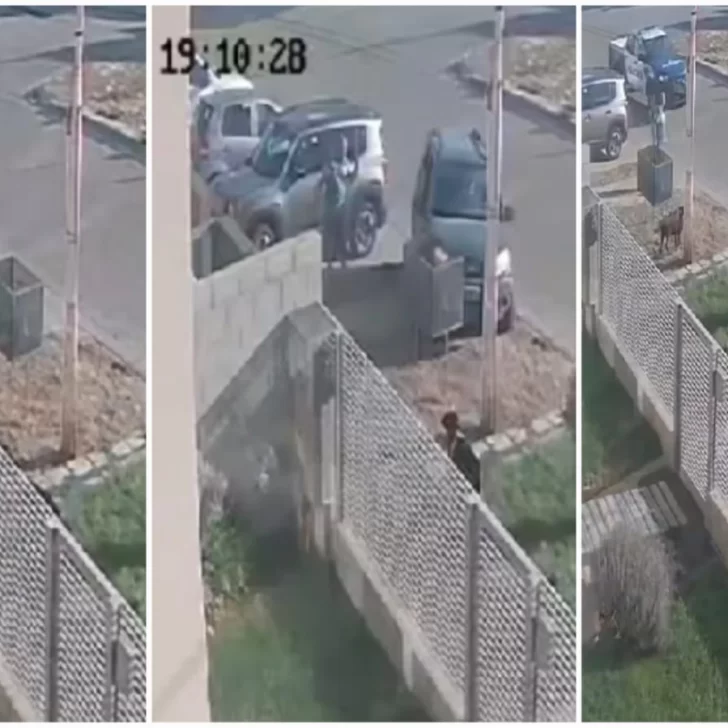 Conductor de una camioneta que huía de la policía casi atropelló a un vecino: “Nos dio miedo” Conductor de una camioneta que huía de la policía casi atropelló a un vecino: “Nos dio miedo”