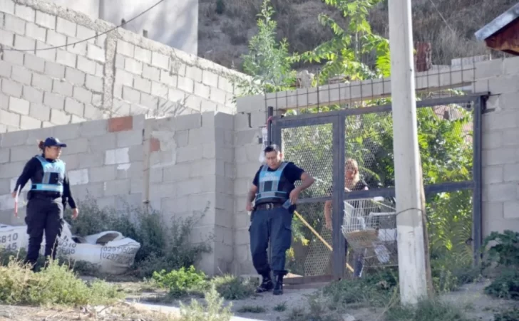 WhatsApp-Image-2025-02-14-at-15.34.19-728x451