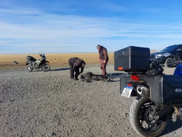 Accidente en Ruta 3: un motociclista perdió el control y terminó despistando Accidente en Ruta 3: un motociclista perdió el control y terminó despistando