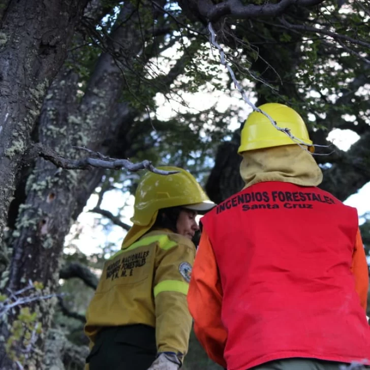 Brigadistas de Santa Cruz se preparan para combatir los incendios en la Patagonia: “Son provincias hermanas”