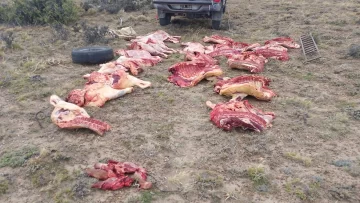 Investigan presunto abigeato en Gobernador Gregores: hay un detenido y secuestro de carne y armas