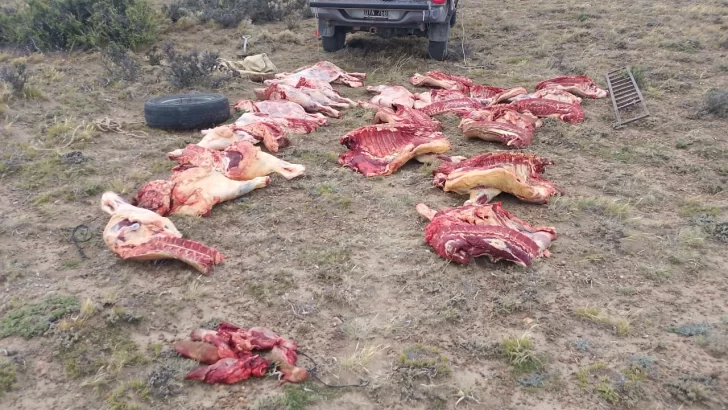 Investigan presunto abigeato en Gobernador Gregores: hay un detenido y secuestro de carne y armas