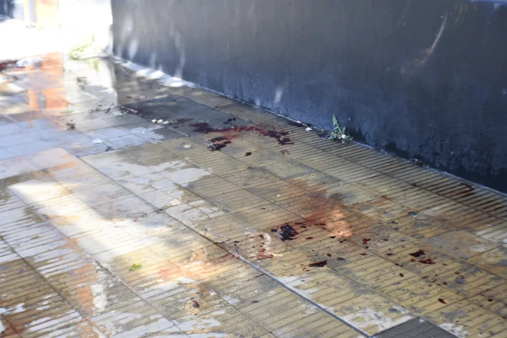 asi-quedo-la-calle-por-donde-paso-maceta-728x485