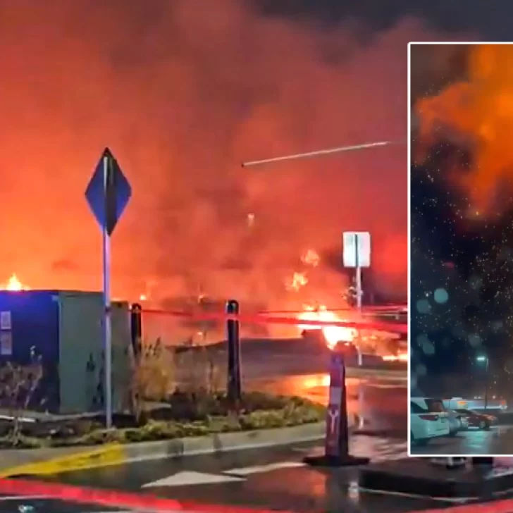 Se estrelló y explotó un avión sanitario que llevaba a una niña enferma y a su madre: 6 muertos