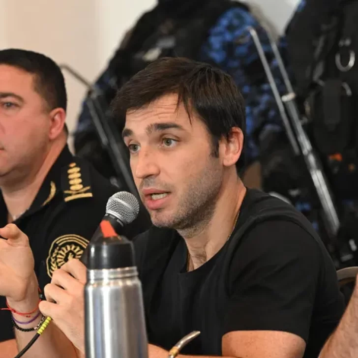 Torres sobre los detenidos por los incendios en Chubut: “están vinculados a la RAM”