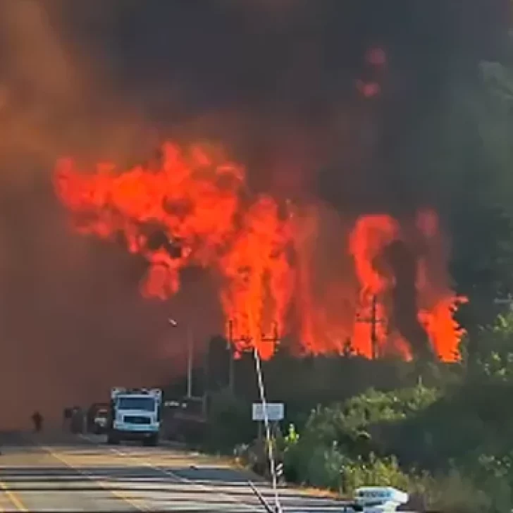 Incendios en Río Negro: “A veces sentíamos que íbamos a perderlo todo, como si ya no hubiera esperanza”