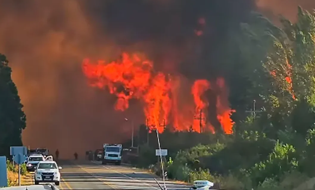 Incendios en Río Negro: “A veces sentíamos que íbamos a perderlo todo, como si ya no hubiera esperanza”